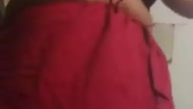 Telugu bhabhi juicy melon wearing sari.mp4